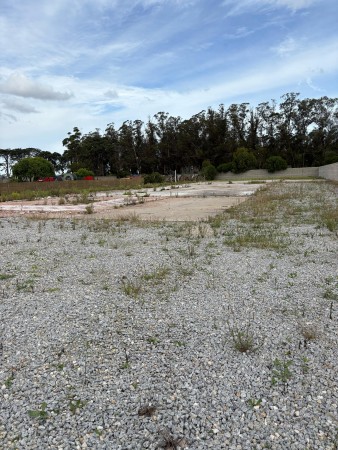 Importante Lote Ruta 88