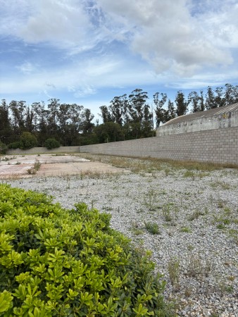 Importante Lote Ruta 88