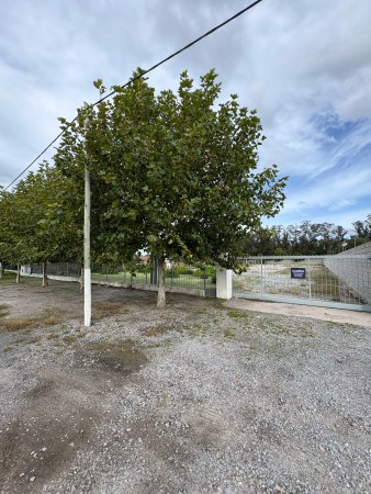 Importante Lote Ruta 88