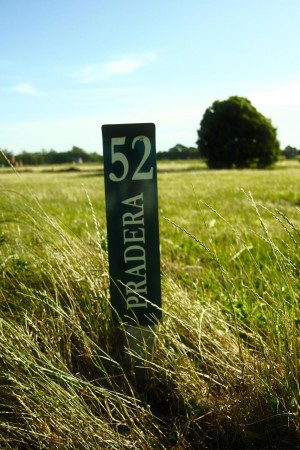 Lote Casona Del Haras