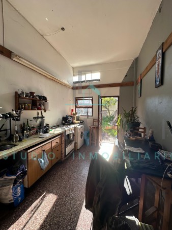 Casa + Local 