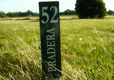 Lote Casona Del Haras